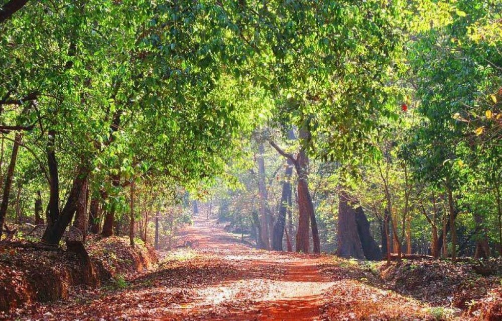 BOHOA Palolem Beach Resort Attraction Pictures